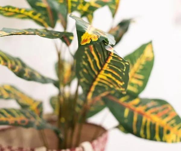 Sole Blu One Appartement Mykonos Town