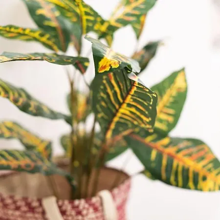 Sole Blu One דירה Mykonos Town