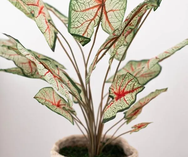 Sole Blu One Apartamento *